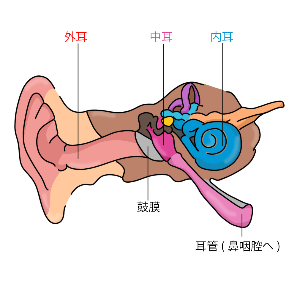 とり 耳垢 耳垢のとりかた